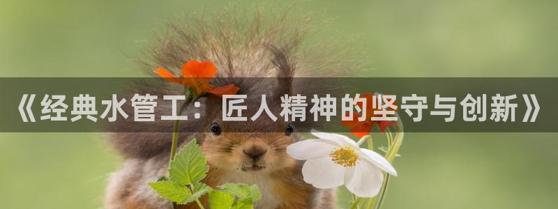 楚雄众腾娱乐在哪里