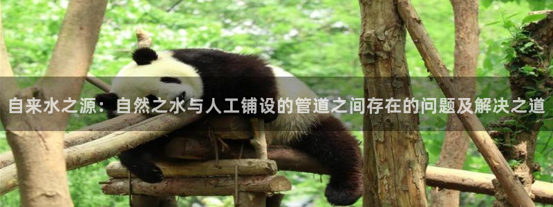 众腾娱乐蚀 7O935