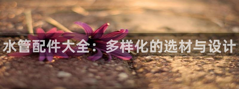 众腾娱乐登入探索无限空间