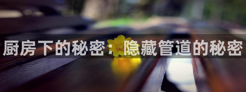 众腾娱乐APP下载