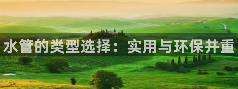 众腾娱乐公司简介