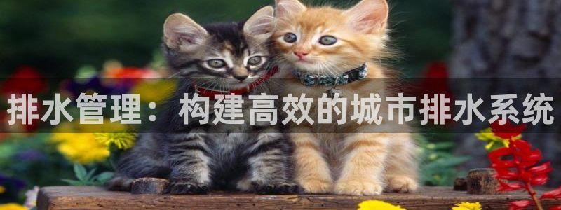 楚雄众腾娱乐是干什么的