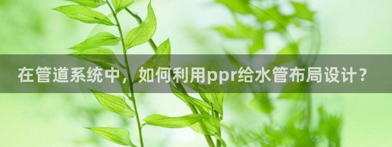 众腾娱乐集团有限公司