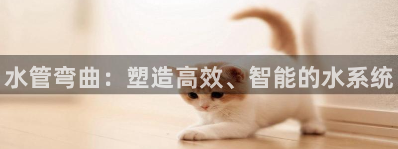 众腾娱乐公司简介