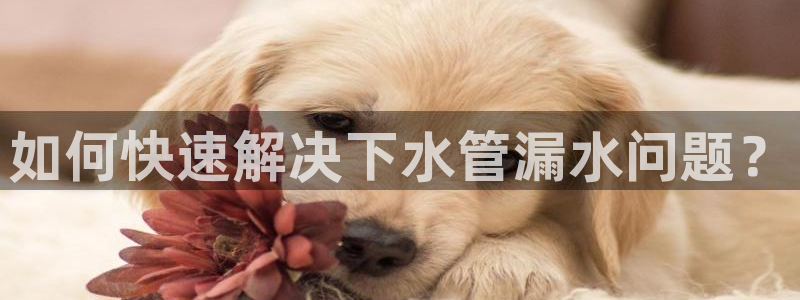 岳阳众腾ktv娱乐