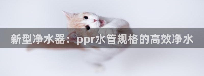 众腾娱乐总代理