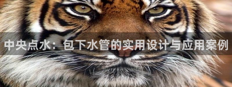 腾讯旗下的腾众娱乐